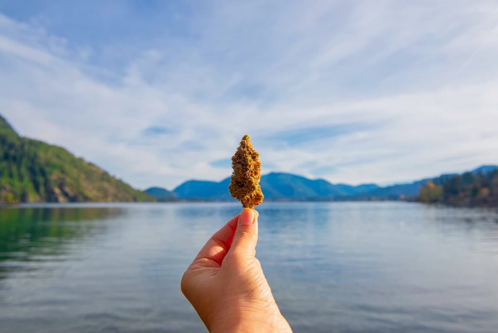 cannabis canada