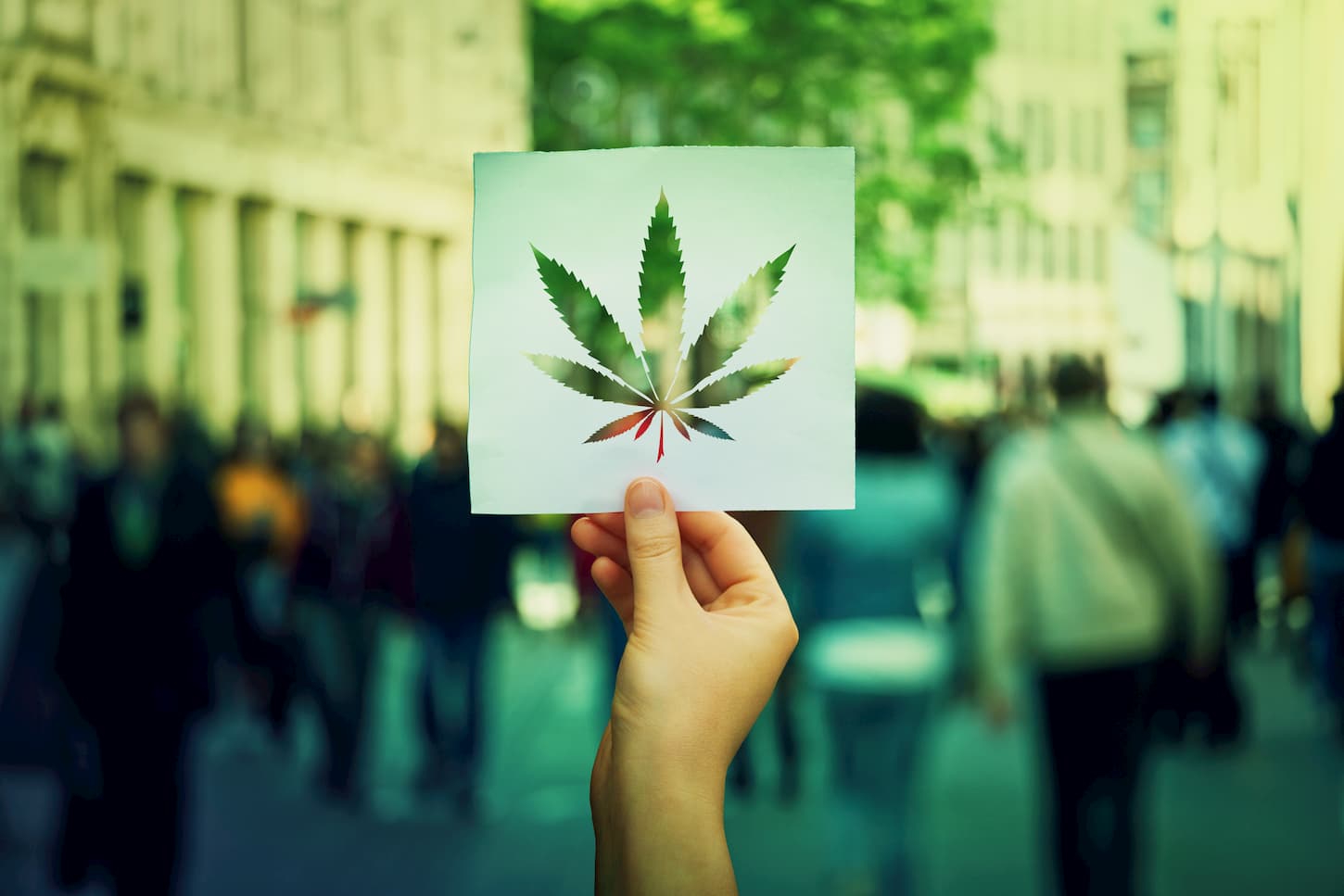 cbd canada
